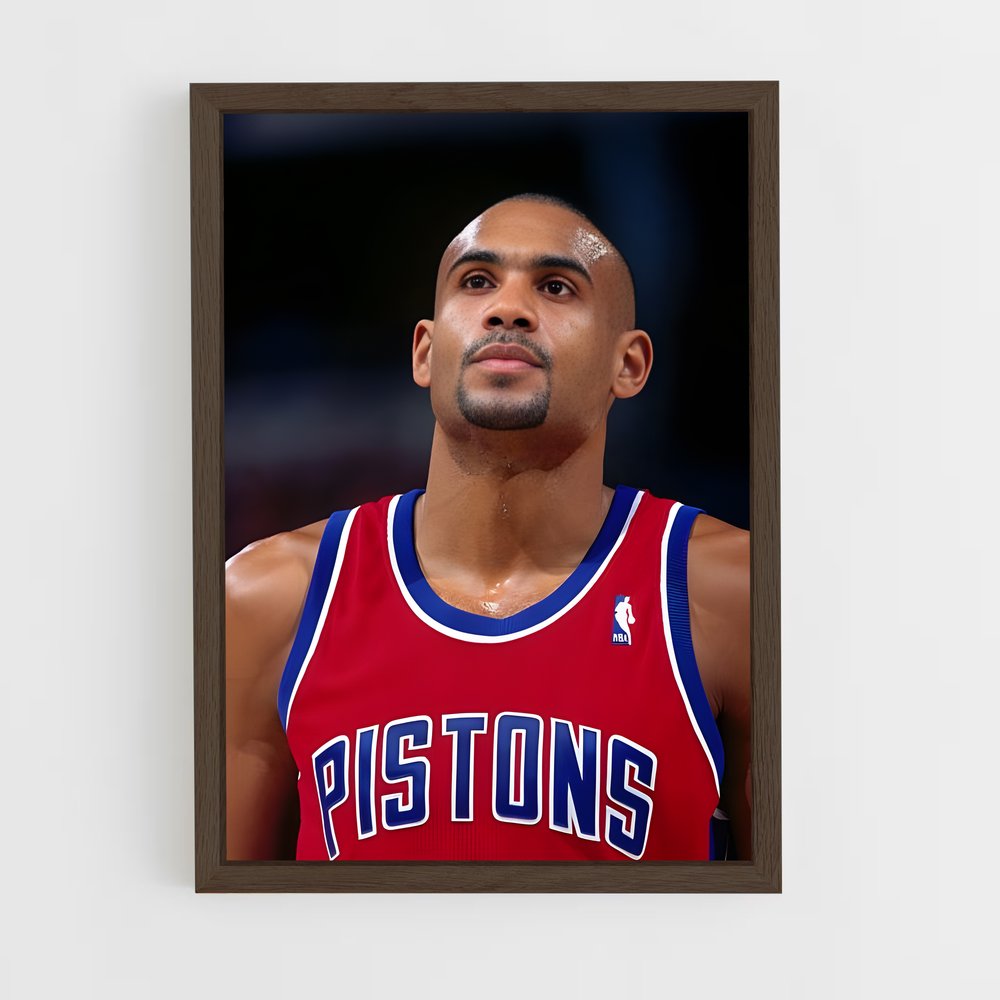 Poster Grant Hill Basketball (vue 5)